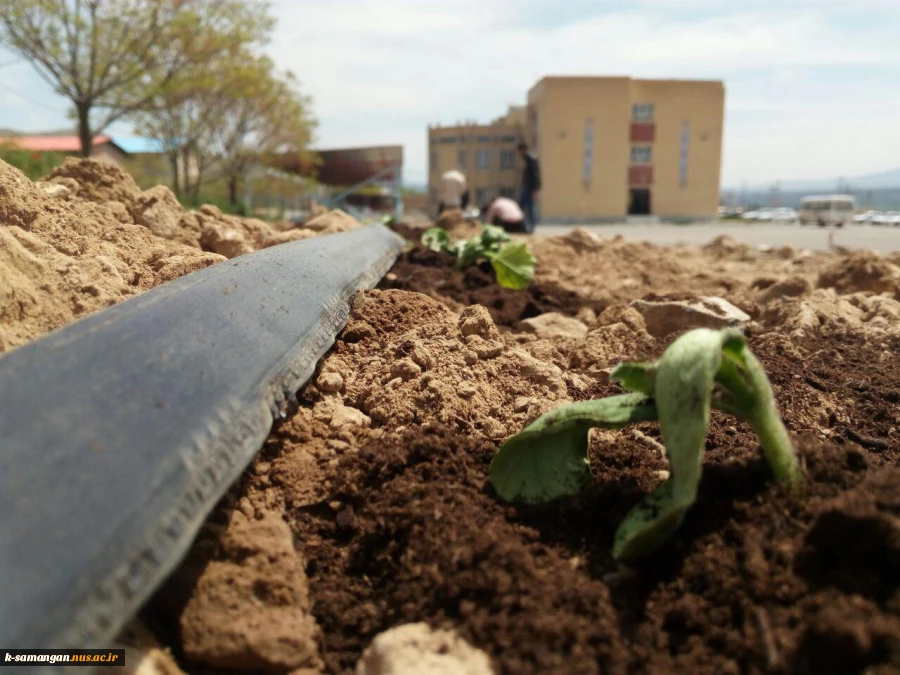 آماده سازی زمین و کشت گیاهان دارویی در محوطه آموزشکده کشاورزی سمنگان به همت اساتید و دانشجویان مرکز 2