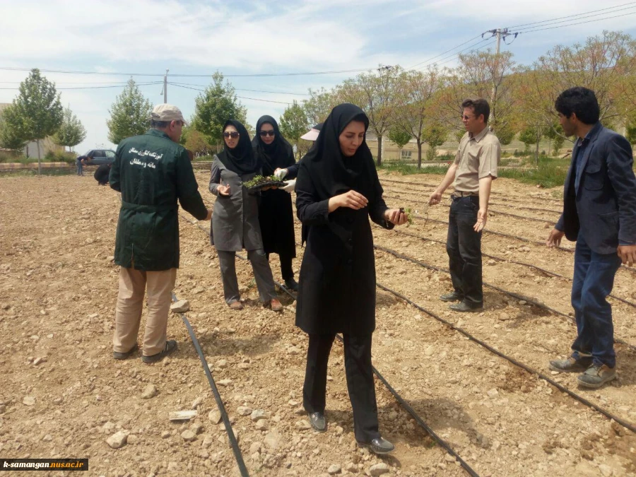 آماده سازی زمین و کشت گیاهان دارویی در محوطه آموزشکده کشاورزی سمنگان به همت اساتید و دانشجویان مرکز 4