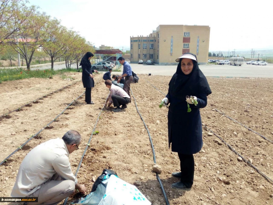 آماده سازی زمین و کشت گیاهان دارویی در محوطه آموزشکده کشاورزی سمنگان به همت اساتید و دانشجویان مرکز 5