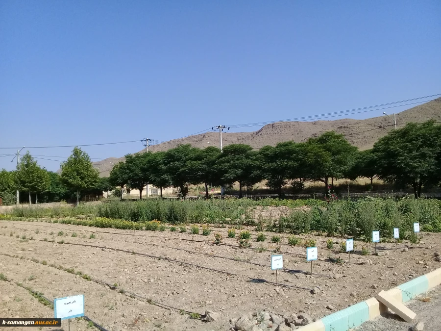 آماده سازی زمین و کشت گیاهان دارویی در محوطه آموزشکده کشاورزی سمنگان به همت اساتید و دانشجویان مرکز 8