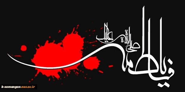 شهادت حضرت فاطمه زهرا (س) تسلیت باد... 2